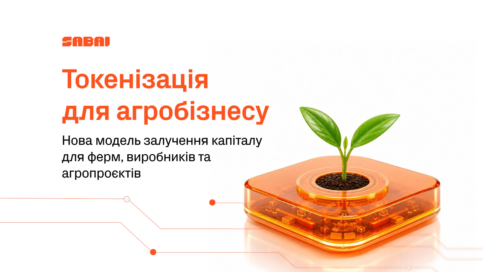 Токенізація в агробізнесі: перетворіть своє зерно на оборотний капітал